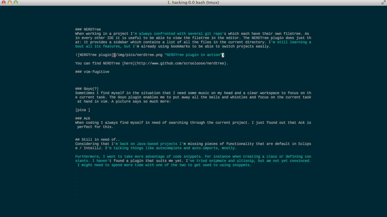 Vim plugins for development - Ronald van Zuijlen