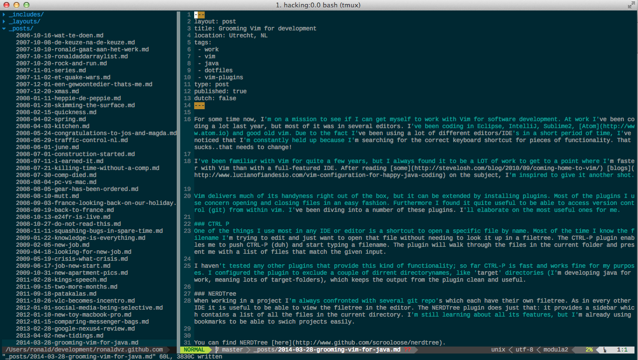 Vim plugins for development - Ronald van Zuijlen